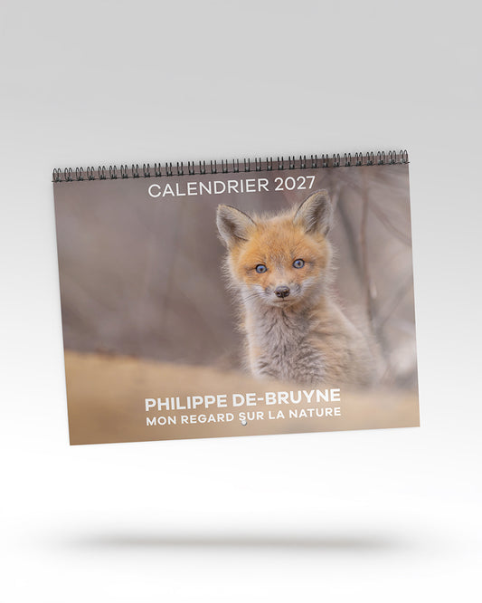 Calendrier 2027 – Au fil des saisons avec les renards